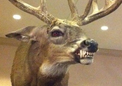 Xmas Karaoke with Andy and Taylor!