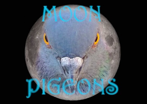 Moon Pigeons